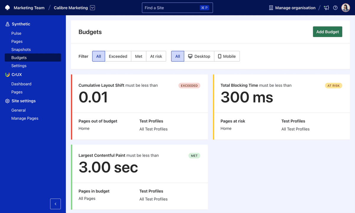 Budgets page showcasing all of your Budgets and their current status