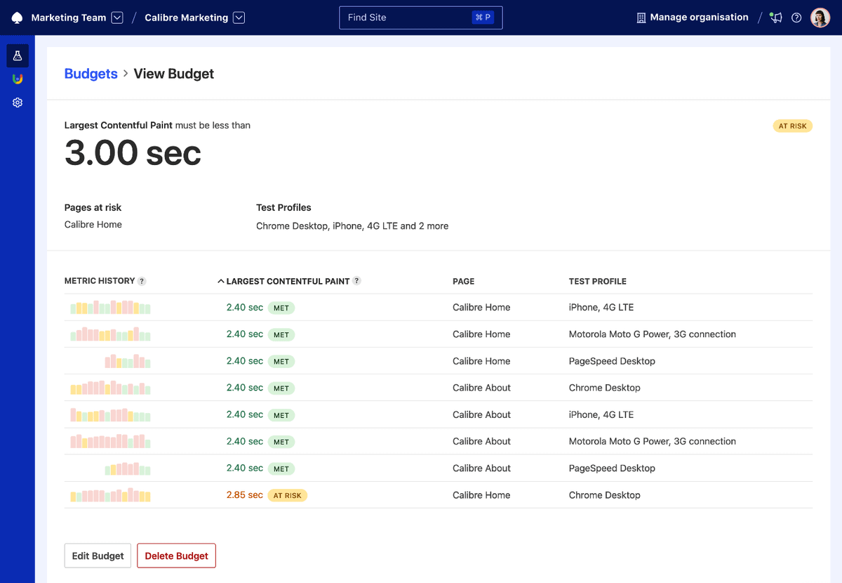 View Budget page showing the status of a given budget for all tracked Pages and Test Profiles.