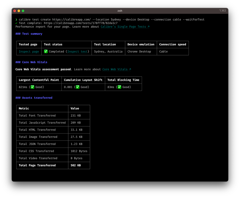 Screenshot: Terminal displaying Single Page Test report output